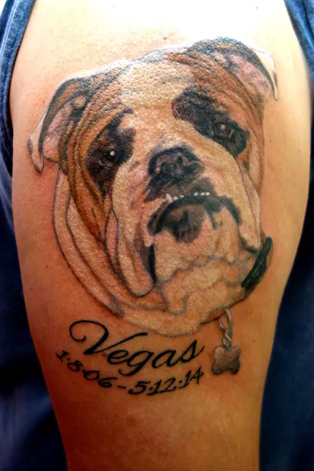 sad realistic face of an English Bulldog tattoo on the shoulder