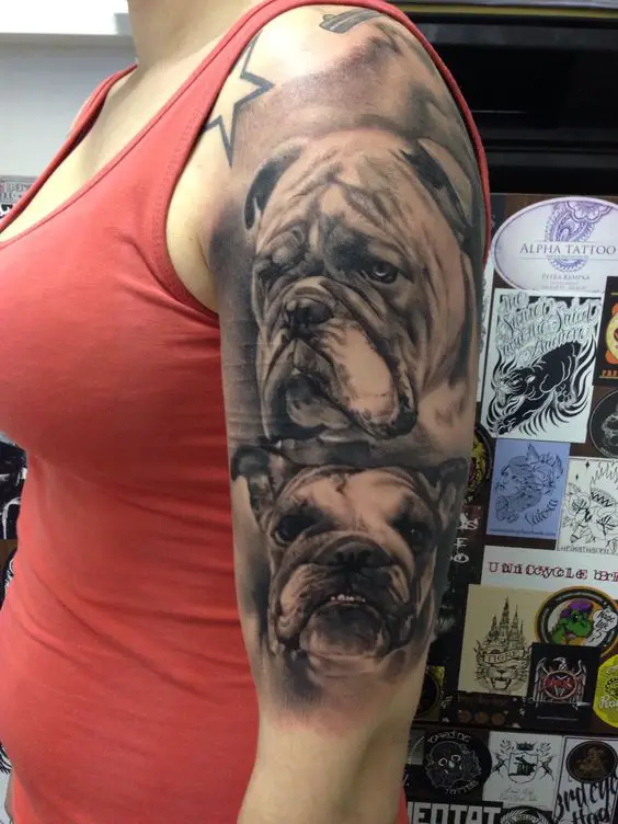 3D faces of English Bulldogs tattoo on the shoulder