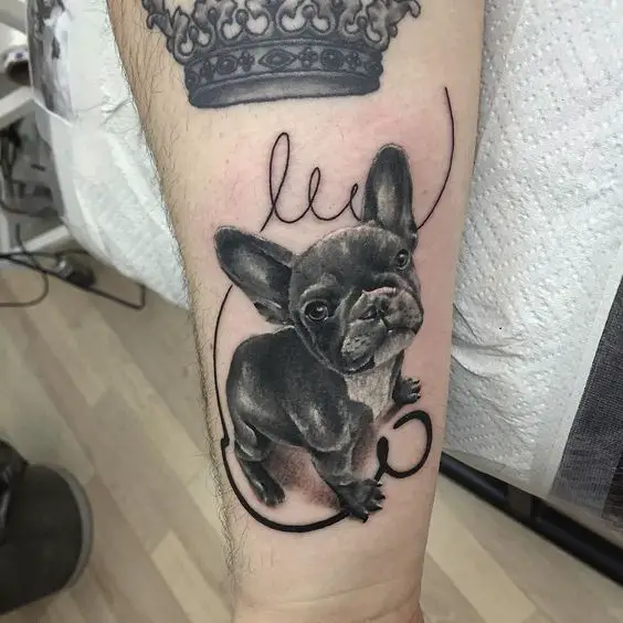 black French Bulldog Tattoo on the forearm