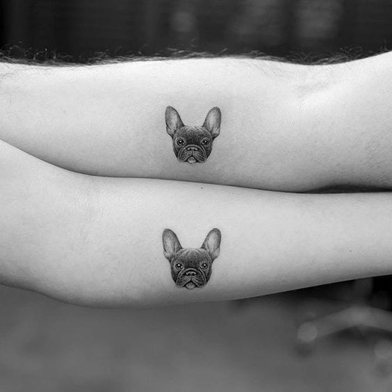 face of French Bulldog couples Tattoo on the forearm
