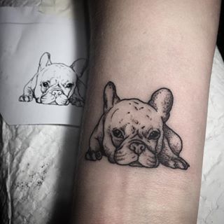 outline French Bulldog Tattoo on the arm