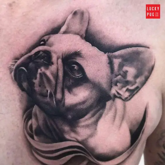 3D French Bulldog Tattoo on the chest