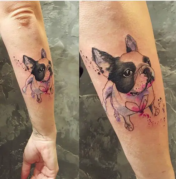 French Bulldog with watercolor Tattoo on the back of the forearm