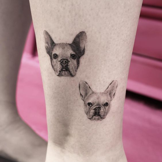 faces of two French Bulldog Tattoo on the ankle