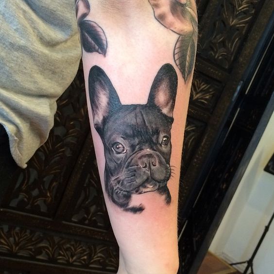 face of black French Bulldog Tattoo on the forearm