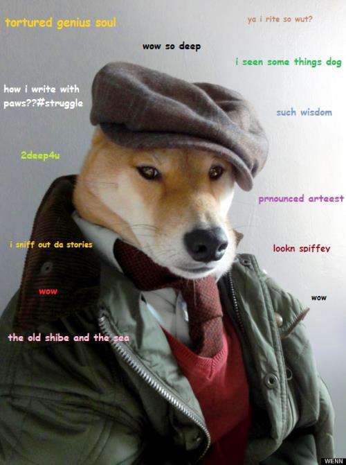 Shiba Inu wearing human's outfit with thoughts 