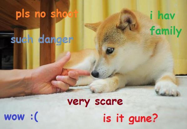 Shiba Inu lying down on the floor while looking at the hands of person formed in gun with thoughts