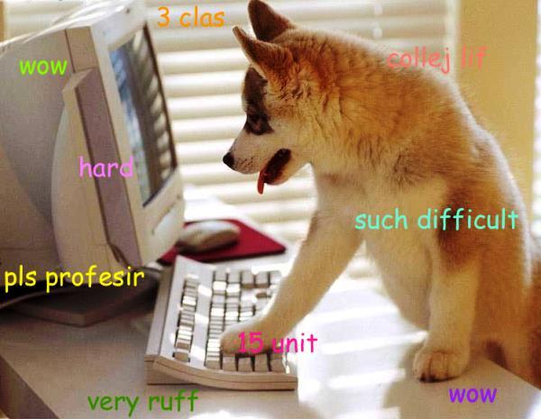 Shiba Inu pressing the keyboard with its paws while looking at the screen of the monitor with thoughts 