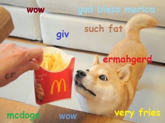 Shiba Inu smelling the mcdor french fries with thoughts 