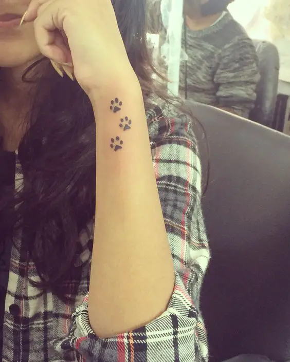 three paw prints tattoo on the forearm