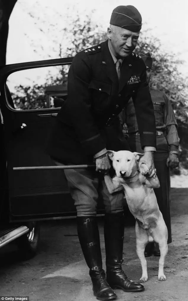 General Patton holding the hands of his English Bull Terrier to stand up