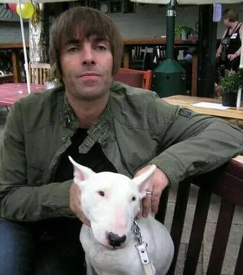 Liam Gallagher sitting on the chair with his English Bull Terrier