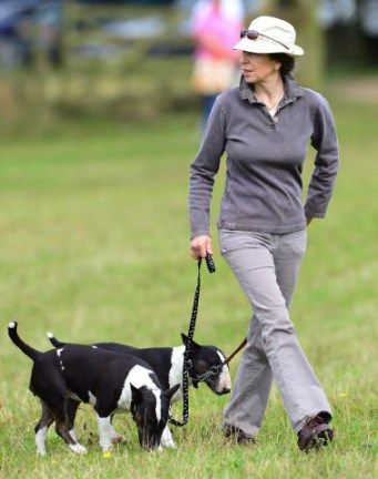 Princess Anne walking in the field with his two English Bull Terriers