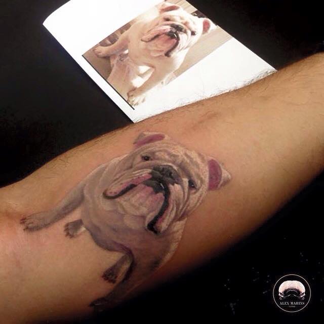 realistic curious white English Bulldog tattoo on the forearm