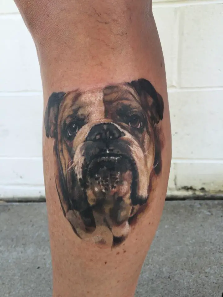 realistic face of English Bulldog tattoo on the leg