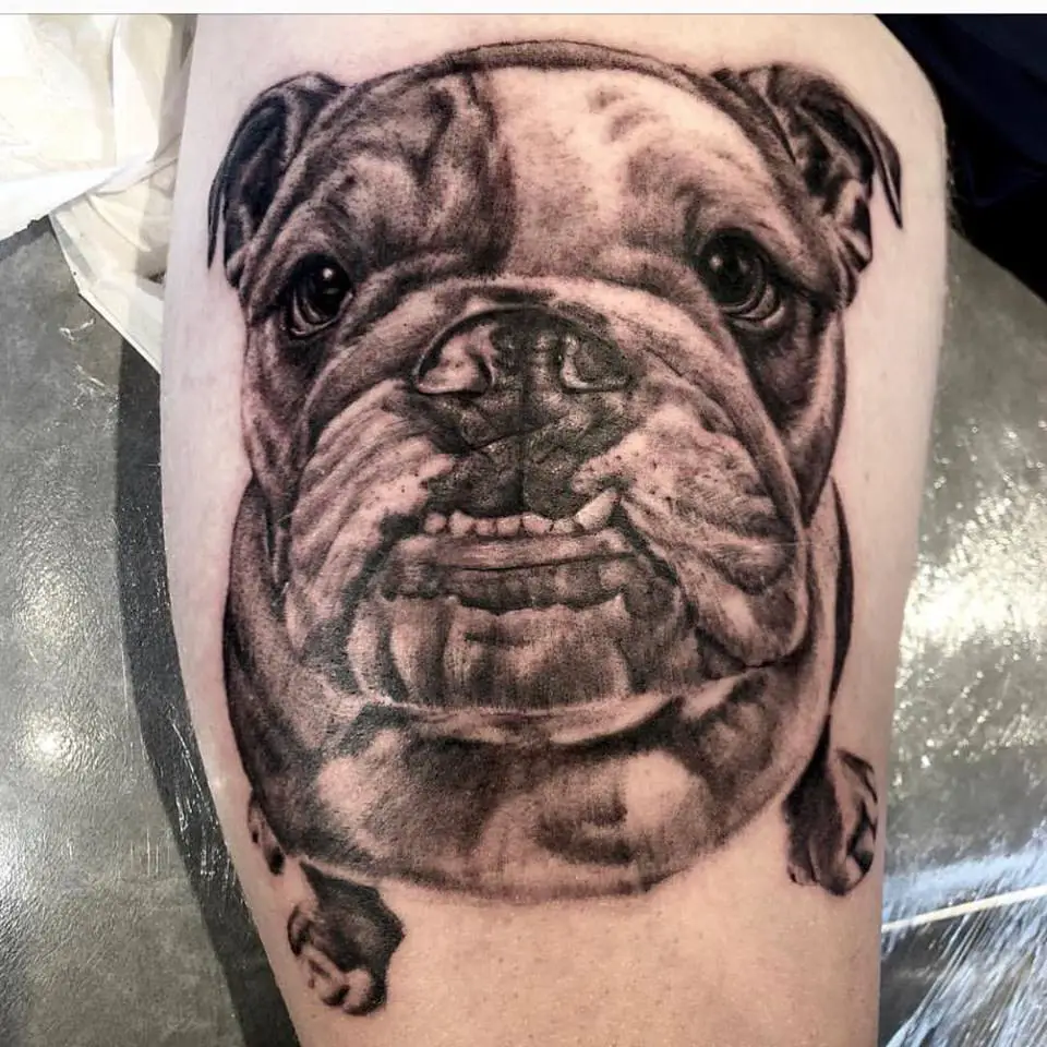 3D of a sitting English Bulldog with its begging face tattoo