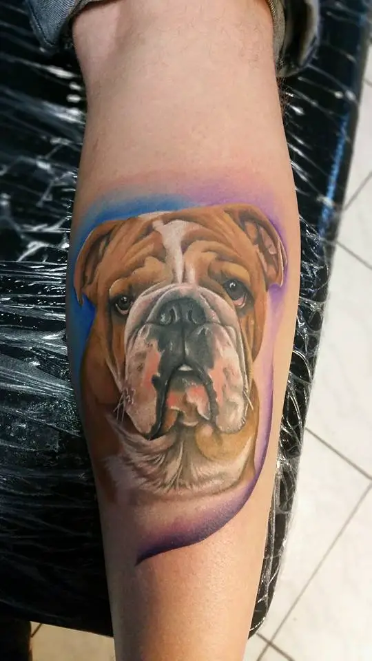 realistic sad face of an English Bulldog with a blue and purple shadow tattoo on forearm