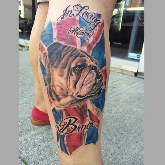sideview face of English Bulldog in a USA flag tattoo on the leg