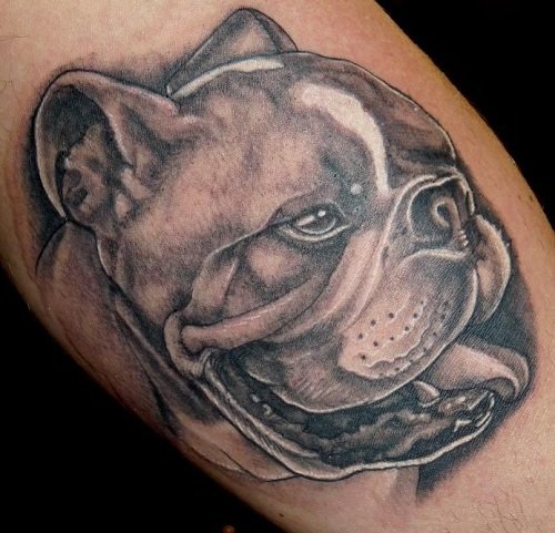 sideview face of a panting English Bulldog tattoo