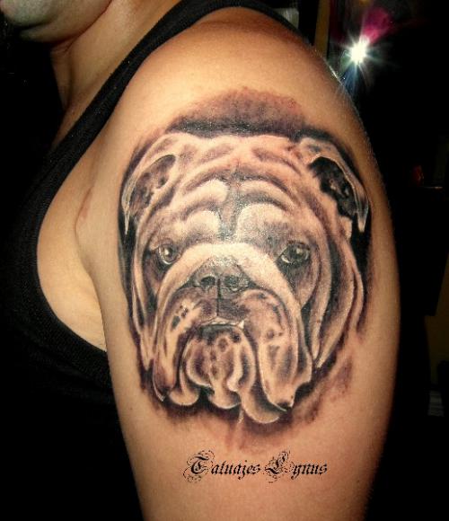 3D face of English Bulldog tattoo on the shoulder