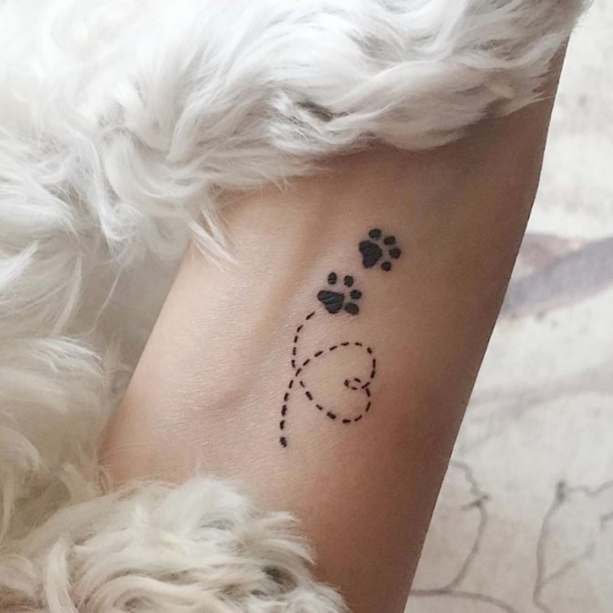 Tattoo uploaded by Mackenzies Tattoo Ink  Dog love pawprint shaded  blackandgrey paws dog lovedogs  Tattoodo