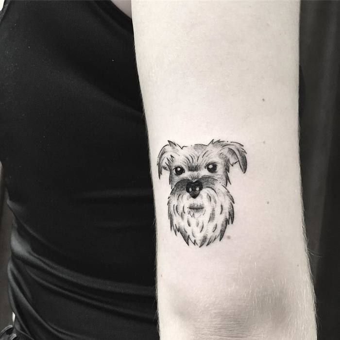 minimalist face of Schnauzer tattoo on the triceps