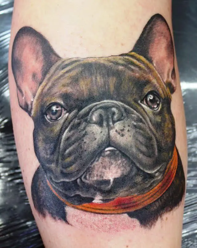 realistic face of French Bulldog Tattoo on the forearm