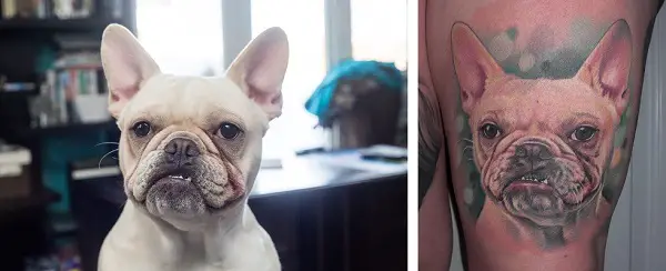 collage photo of a white French Bulldog and white French Bulldog Tattoo on the thigh