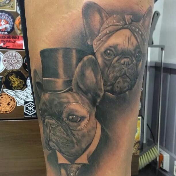 girl French Bulldog wearing a headband and a boy French Bulldog wearing hat, one eye glass and suit tattoo