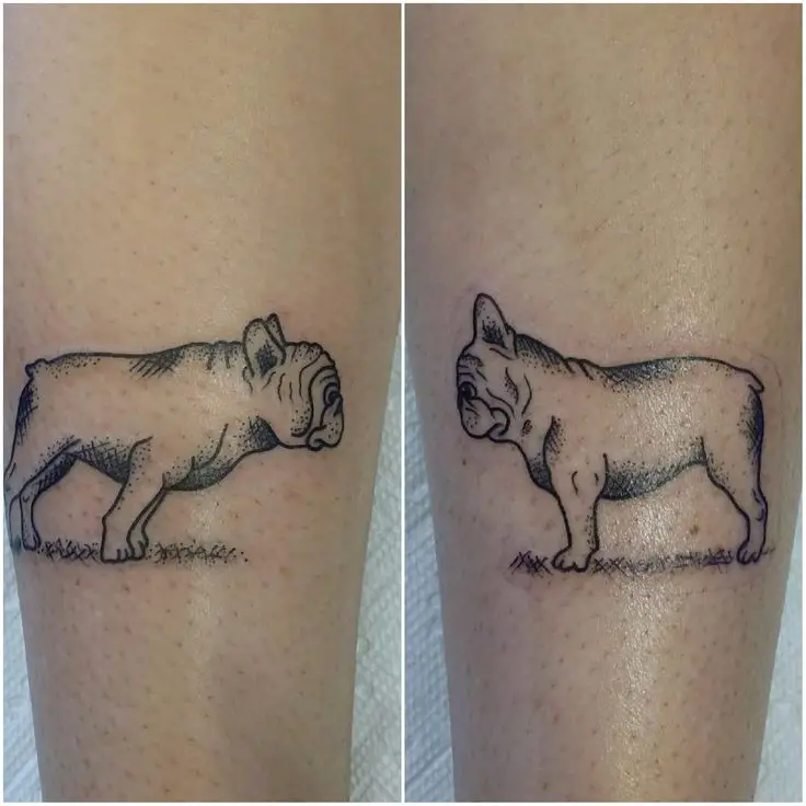 collage photo of outline French Bulldog Tattoo on the forearm