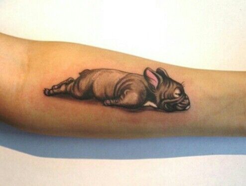 lying down French Bulldog Tattoo on the forearm