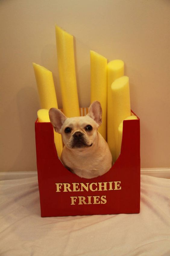 A French Bulldog in a large french fries display
