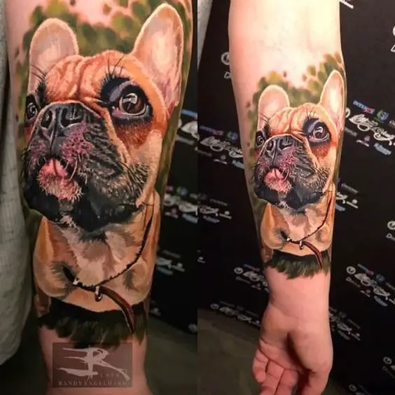 realistic face of French Bulldog Tattoo on the forearm