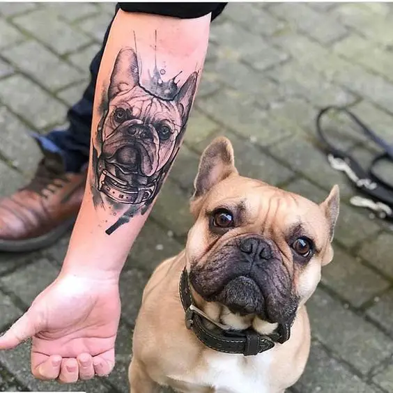 French Bulldog sitting on the pavement and the forearm of a man with the dog's face Tattoo