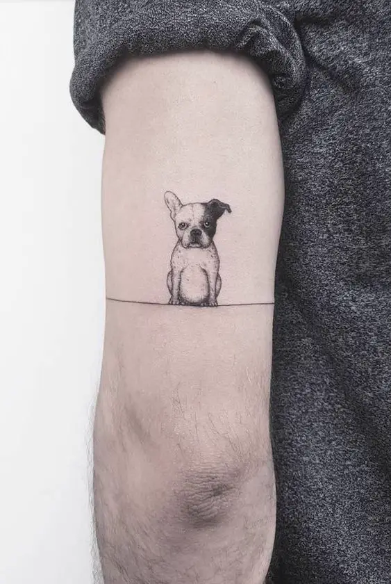 sitting French Bulldog Tattoo on the arm