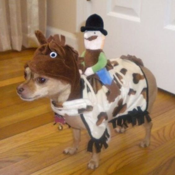A Chihuahua in horse costume with a stuffed toy rider on its back