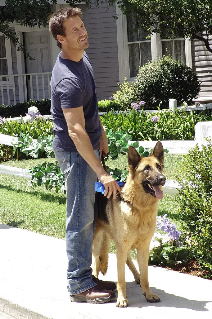 James Denton in the front yard with his German Shepherd