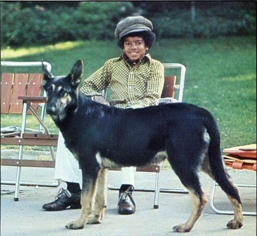 Michael Jackson with his German Shepherd dog