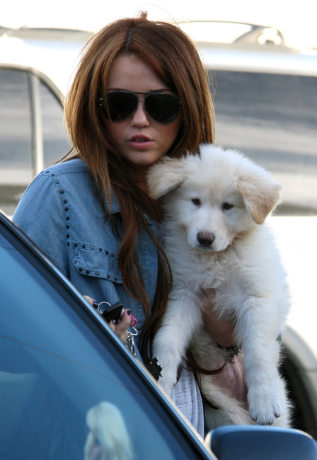 Miley Cyrus with her German Shepherd