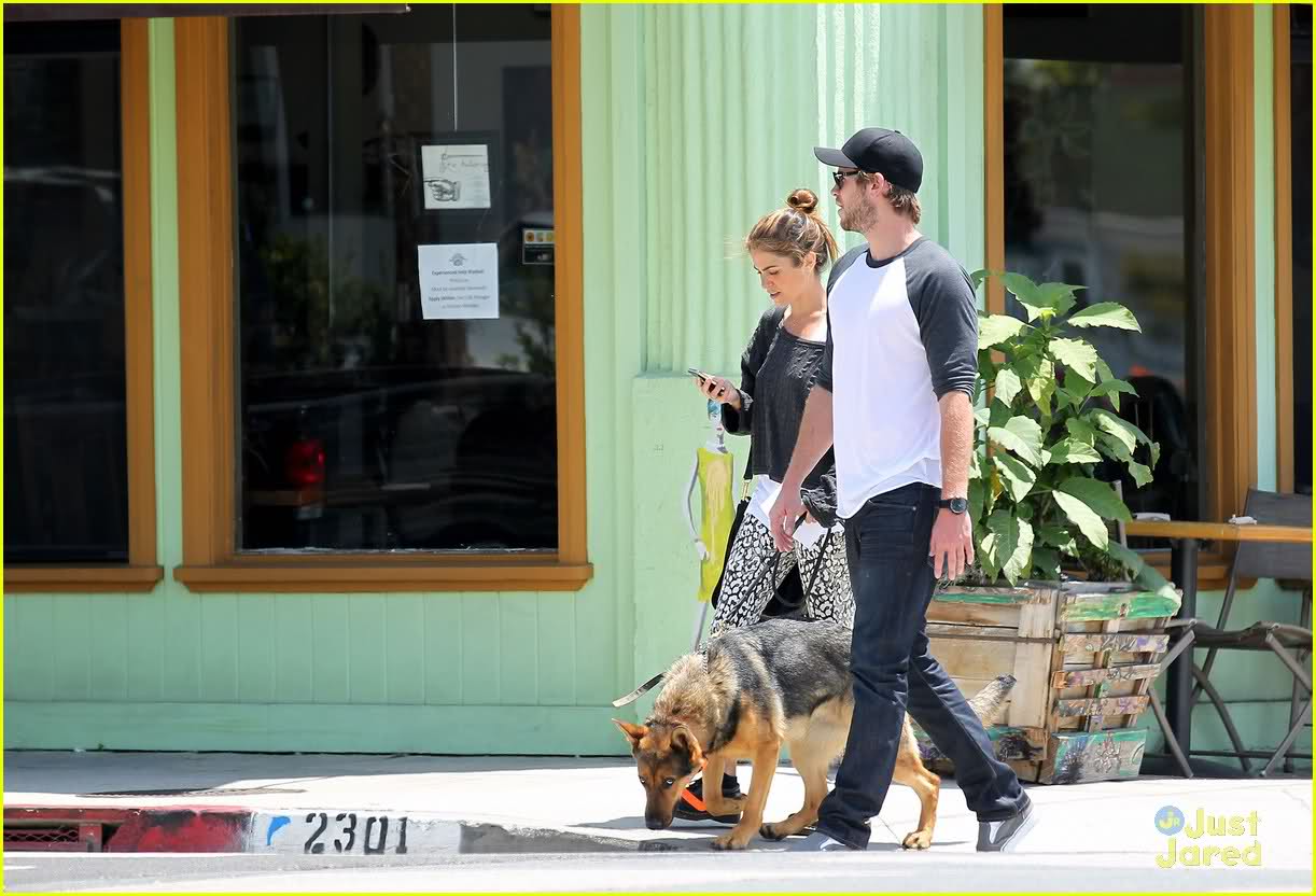 Nikki Reed and Liam Hemsworth walking in the street with their German Shepherd