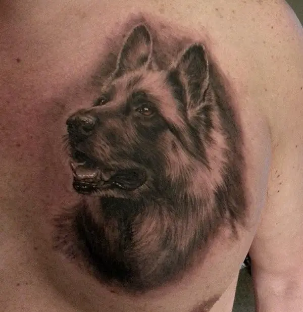 3D looking up face of a German Shepherd Dog Tattoo on the chest