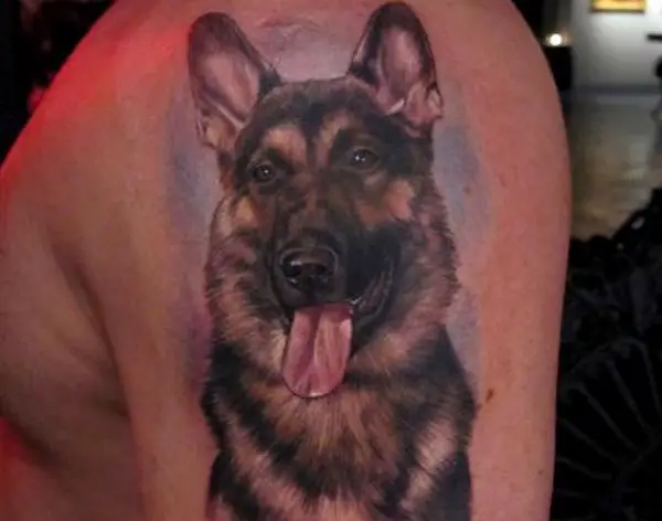 German Shepherd Dog Tattoo with its tongue out tattoo on the shoulder