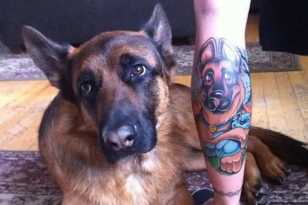 animated face of a German Shepherd Dog Tattoo on the leg