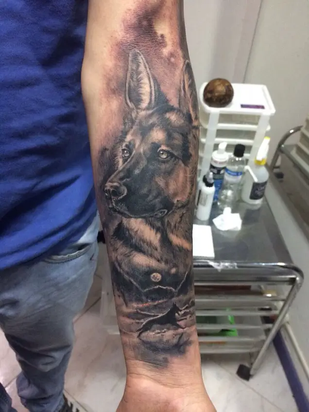 alert face of a German Shepherd Dog Tattoo on the back of the forearm