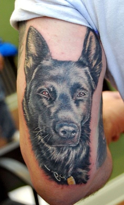 face of a black German Shepherd Dog Tattoo on the back of the arm