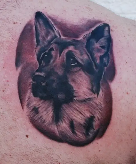 3D face of a begging German Shepherd Dog Tattoo on the back