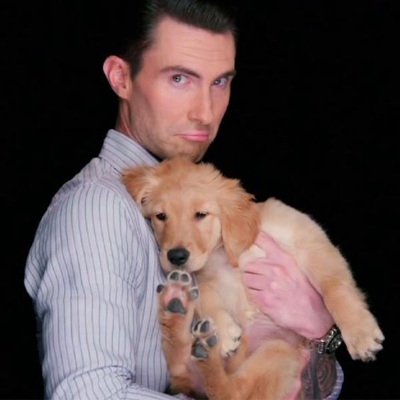 Adam Levine hugging his Golden Retriever puppy in a black isolated background