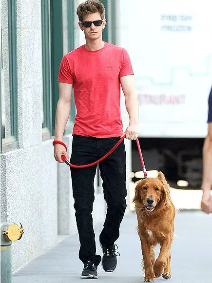 Andrew Garfield walking in the street with his Golden Retriever