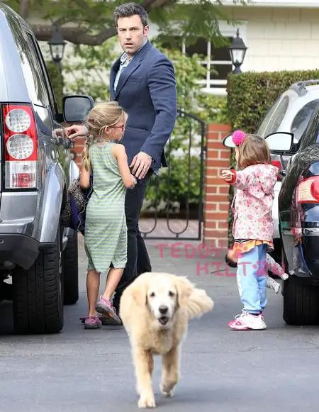  Ben Affleck staring at his Golden Retriever walking away from the car