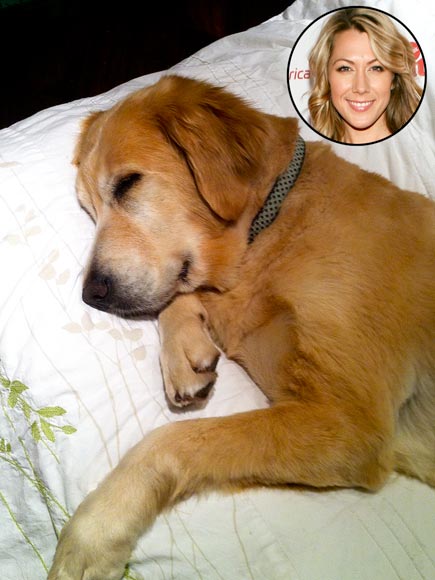 Colbie Caillat circle photo on the top right photo of her Golden Retriever sleeping on the bed